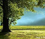 Tinicum Park, Erwinna, PA